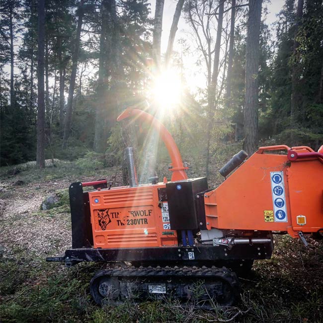 Beskärning fruktträd Värmdö